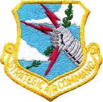 Strategic Air Command Badge